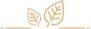 Sections Separator