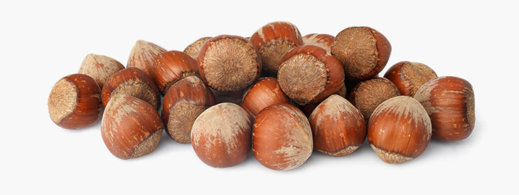 Noisettes décortiquées - 25 kg