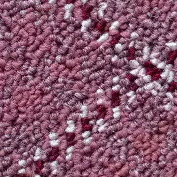 Samur Standard Collection Dallas Series Loop Carpet