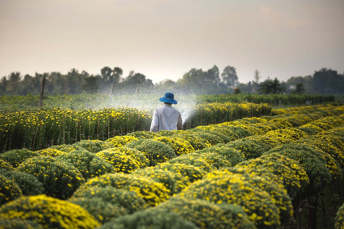 Advantages and Conditions of Agricultural Investment in Turkey