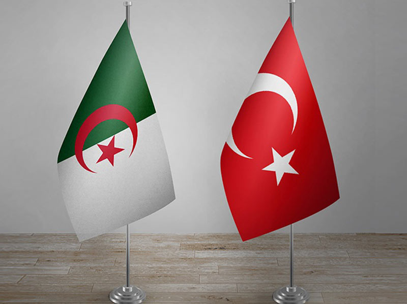 الشحن من تركيا إلى الجزائر: الطرق والأسعار 2025
