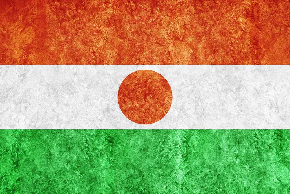 Importer depuis la Turquie au Niger : Formalités et frais
