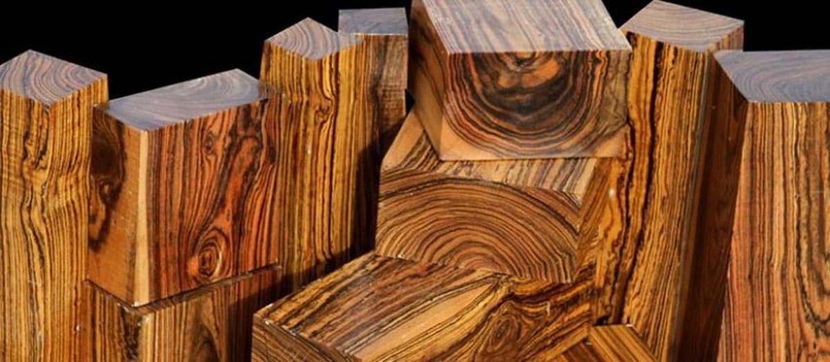 Import of Timber from Turkey: Conditions and Steps 2022