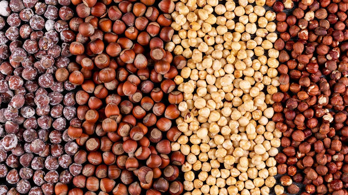 Importing Crops and Agricultural Products from Turkey What are the Most Important Agricultural Crops to Import from Turkey?