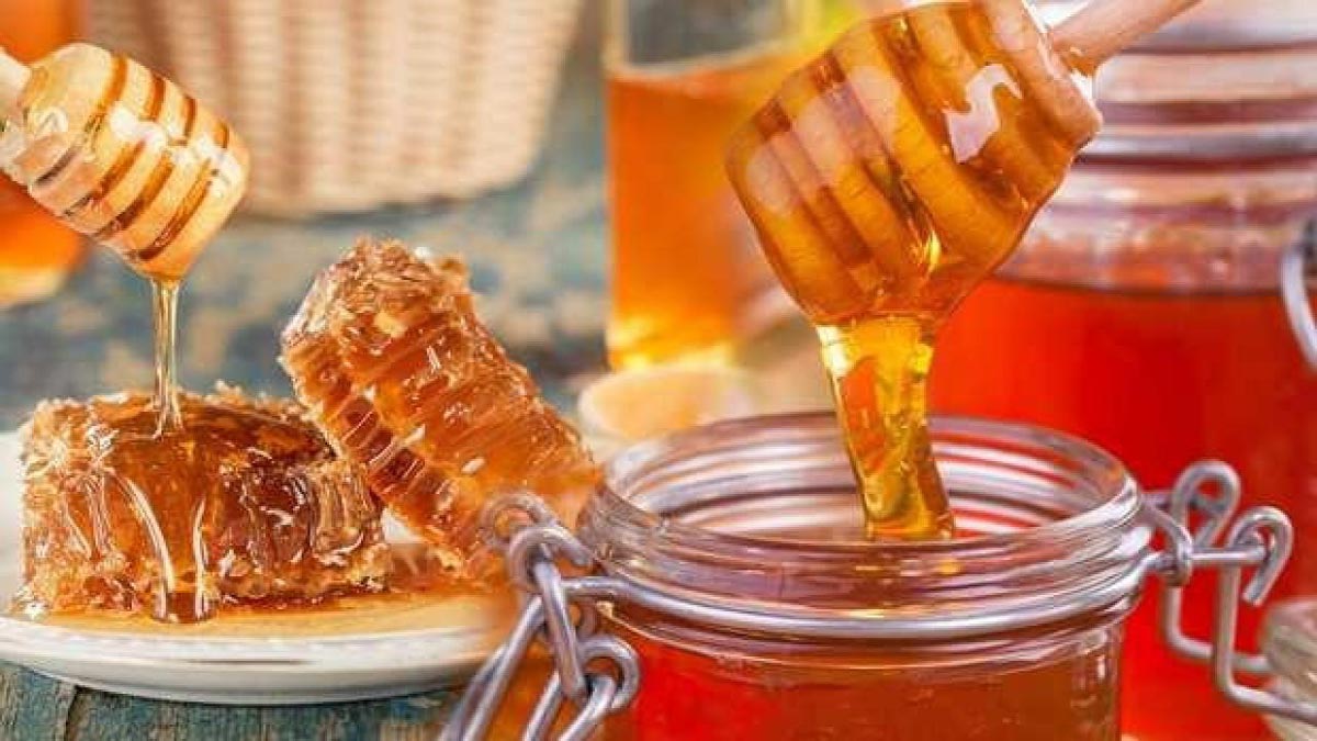 Turkish Honey: Types, Features and How to Import