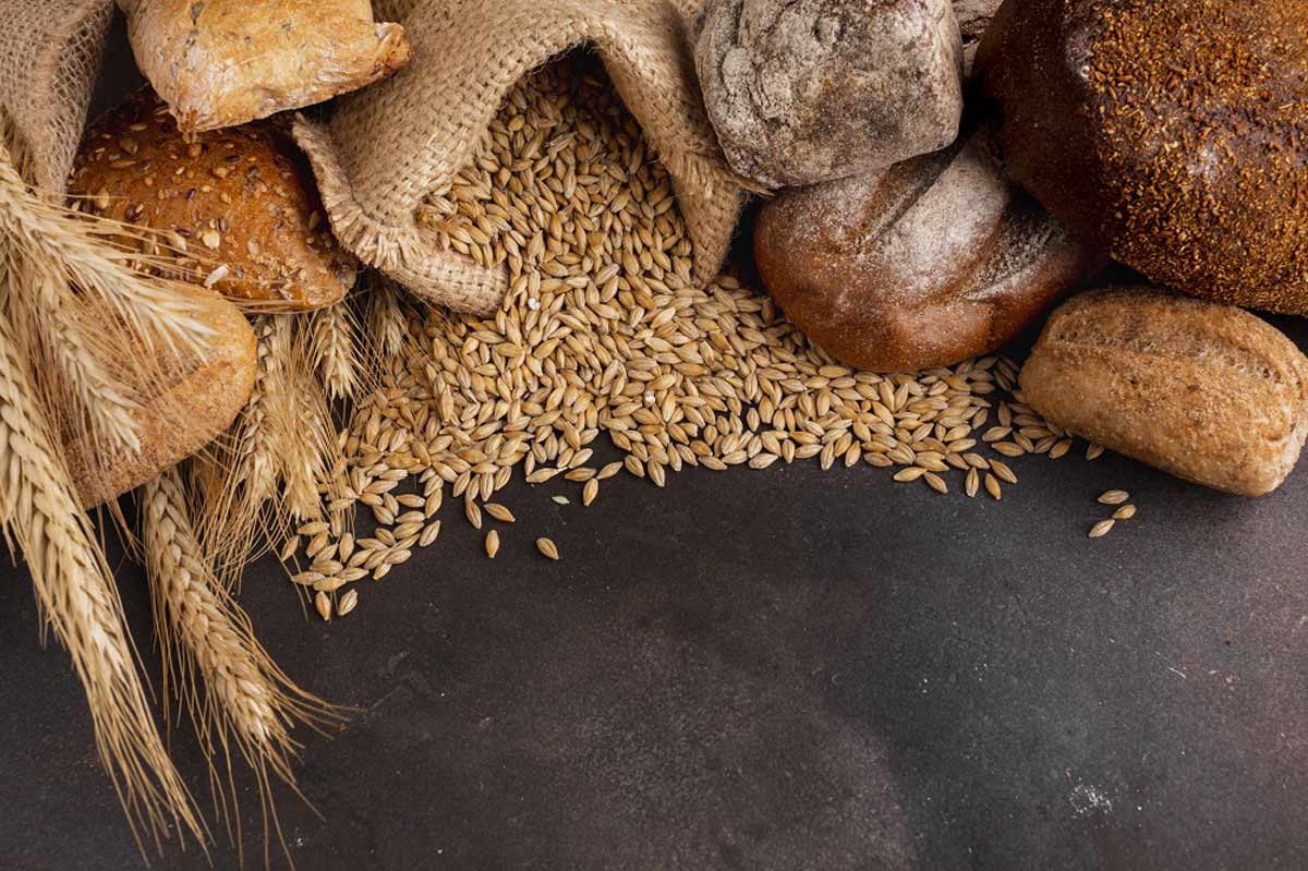 Wheat Products Industry and Factories in Turkey