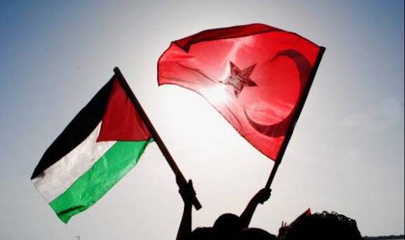 الاستيراد من تركيا إلى فلسطين
