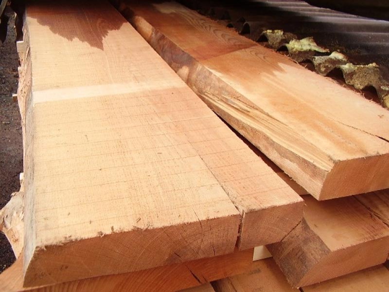 Timber Factories in Turkey