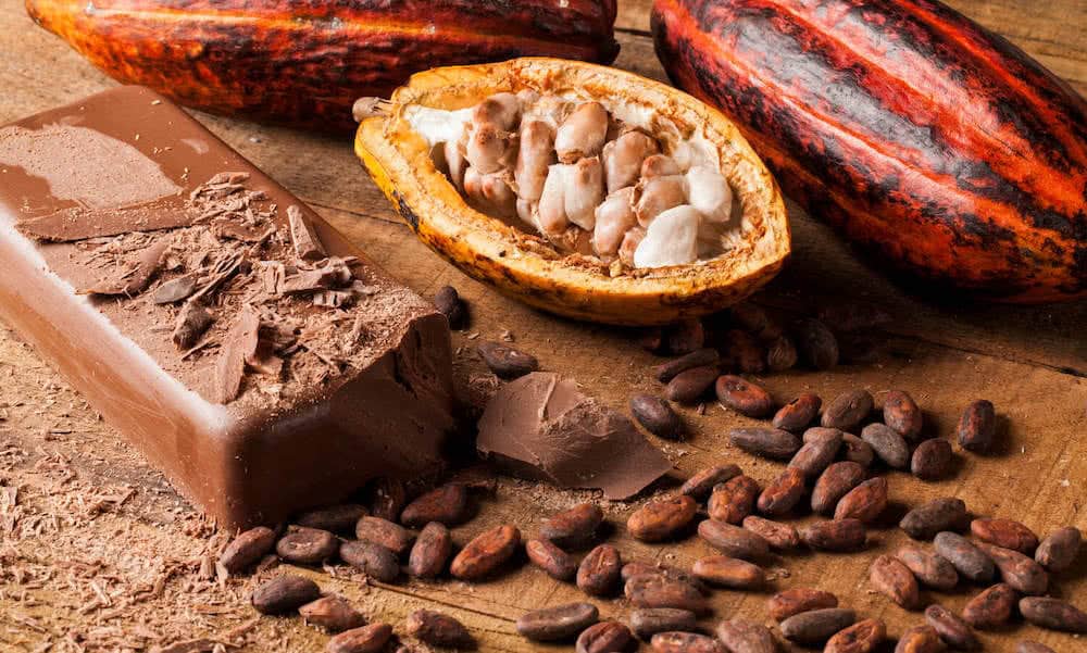 fournisseurs de cacao et chocolat en Turquie