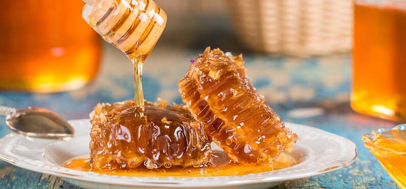 Honey Apiaries in Turkey