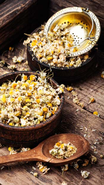 Wholesale Turkish dried flowers and herbs trade - import from Turkey Turkish Dried Flowers & Herbs