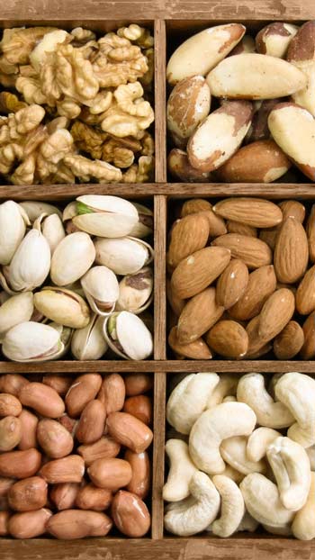 Nuts trade in Turkey - import from Turkey Various Nuts
