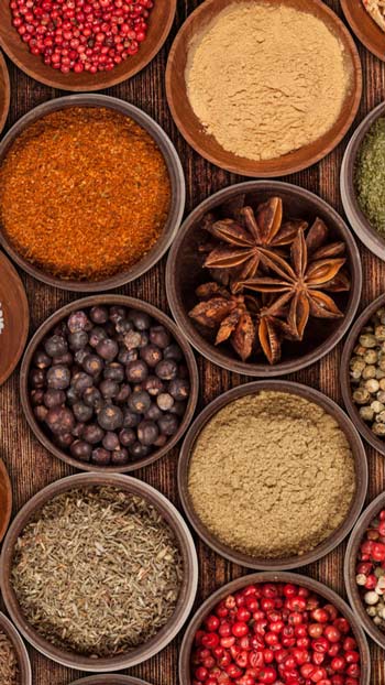 spices and condiment trading - import from Turkey Condiments/Spices