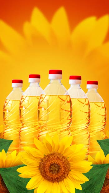 Wholesale sunflower oil - import from Turkey Sunflower Oil
