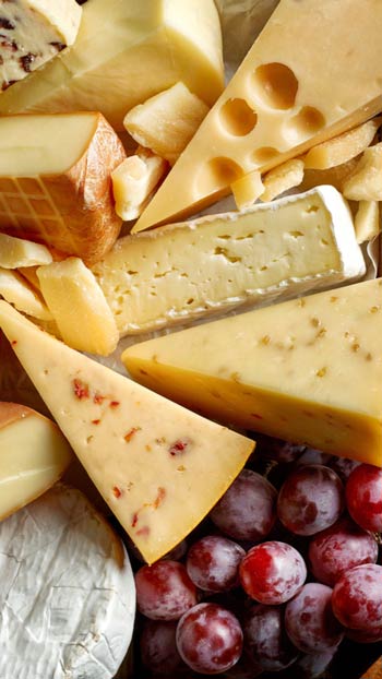 Wholesale Turkish cheese trade - import cheese from Turkey Turkish Cheese