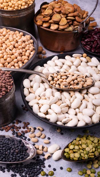 LegumeLegumes and Grains Trade - Import from Turkey Legume