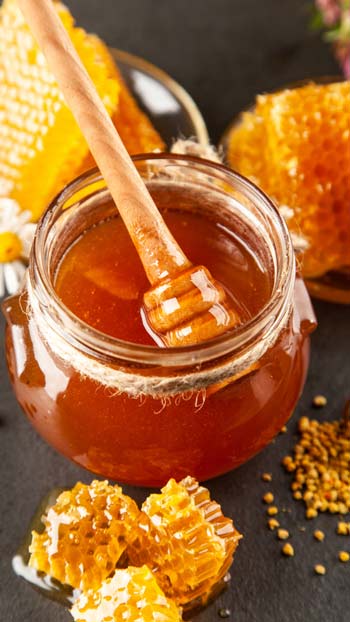 Wholesale honey trade - import honey from Turkey Turkish Honey