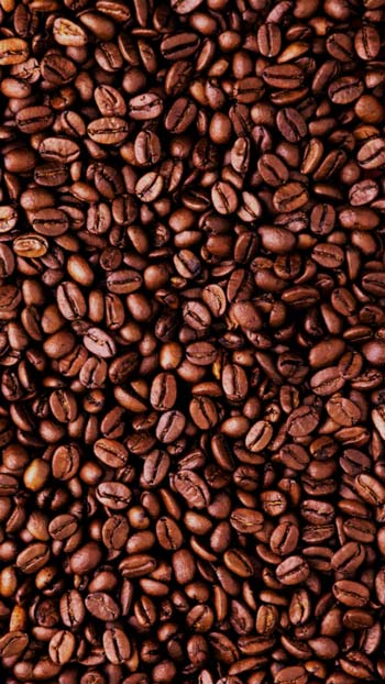 Wholesale coffee trade - import coffee from Turkey Turkish Coffee