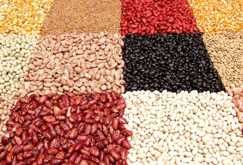 Commerce de gros en Turquie