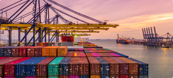 Customs clearance